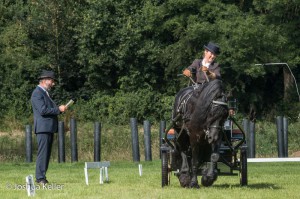 dressuur en vaardigheid  nienoord 10-8-2015  joshua keller-0013      